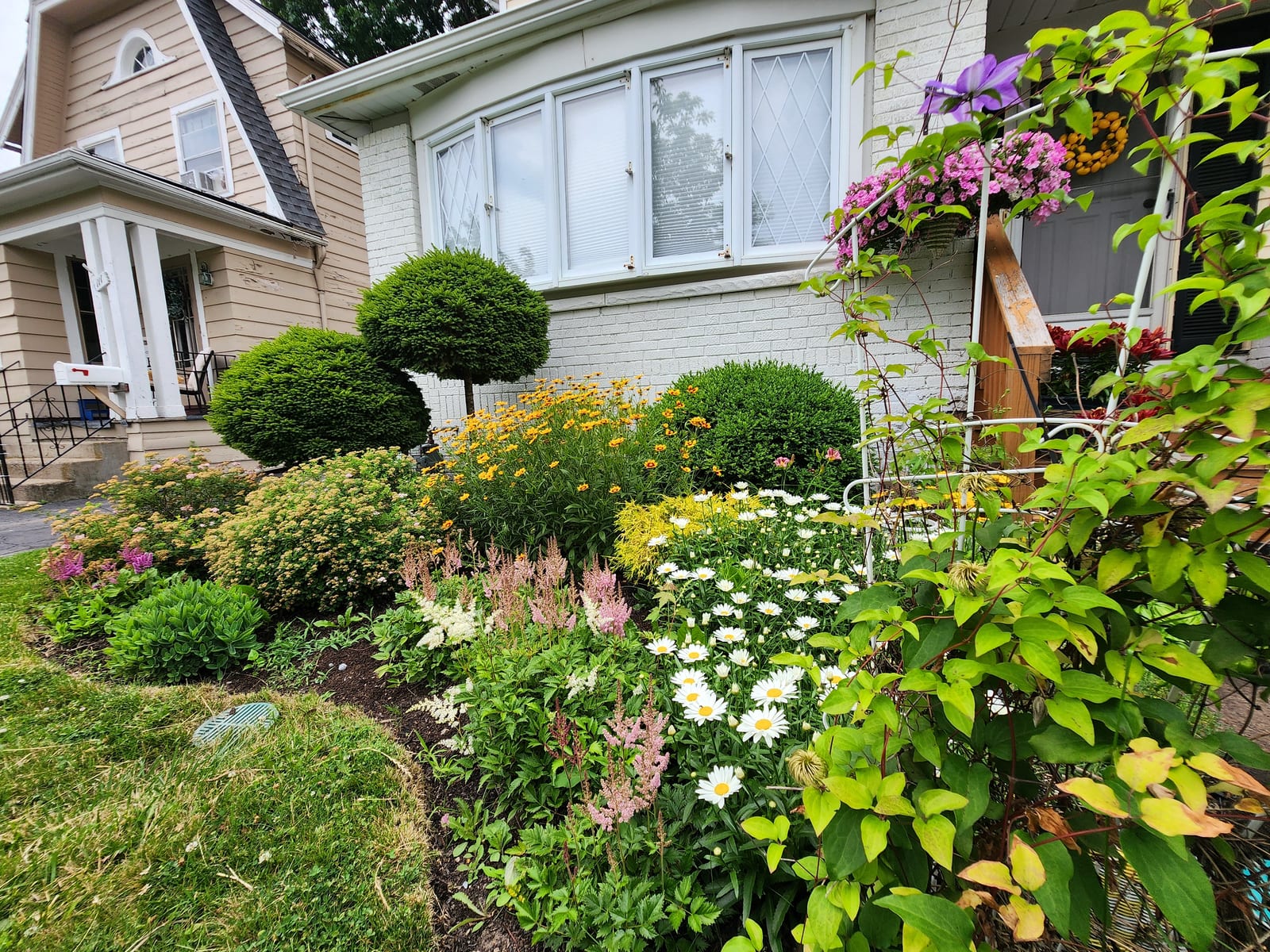 Mixed front-garden border